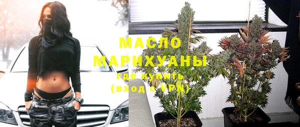 гидра Бронницы