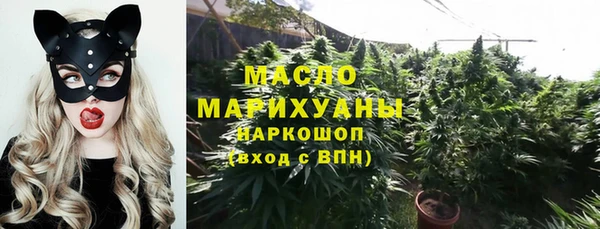 гидра Бронницы