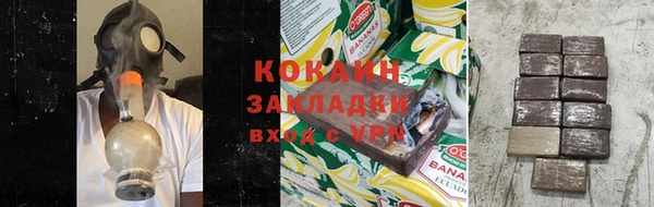 гидра Бронницы