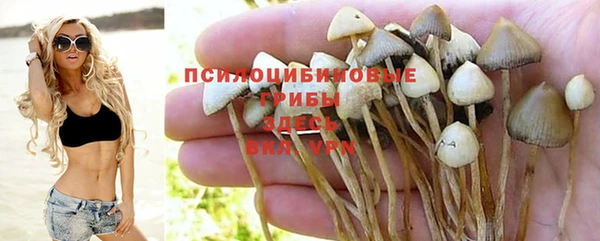 мескалин Верхний Тагил