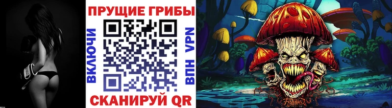 Галлюциногенные грибы GOLDEN TEACHER  цены   Чита 